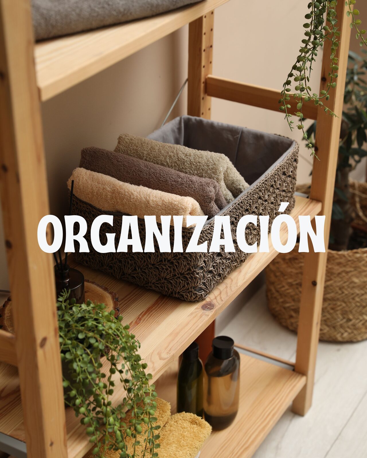 Organización