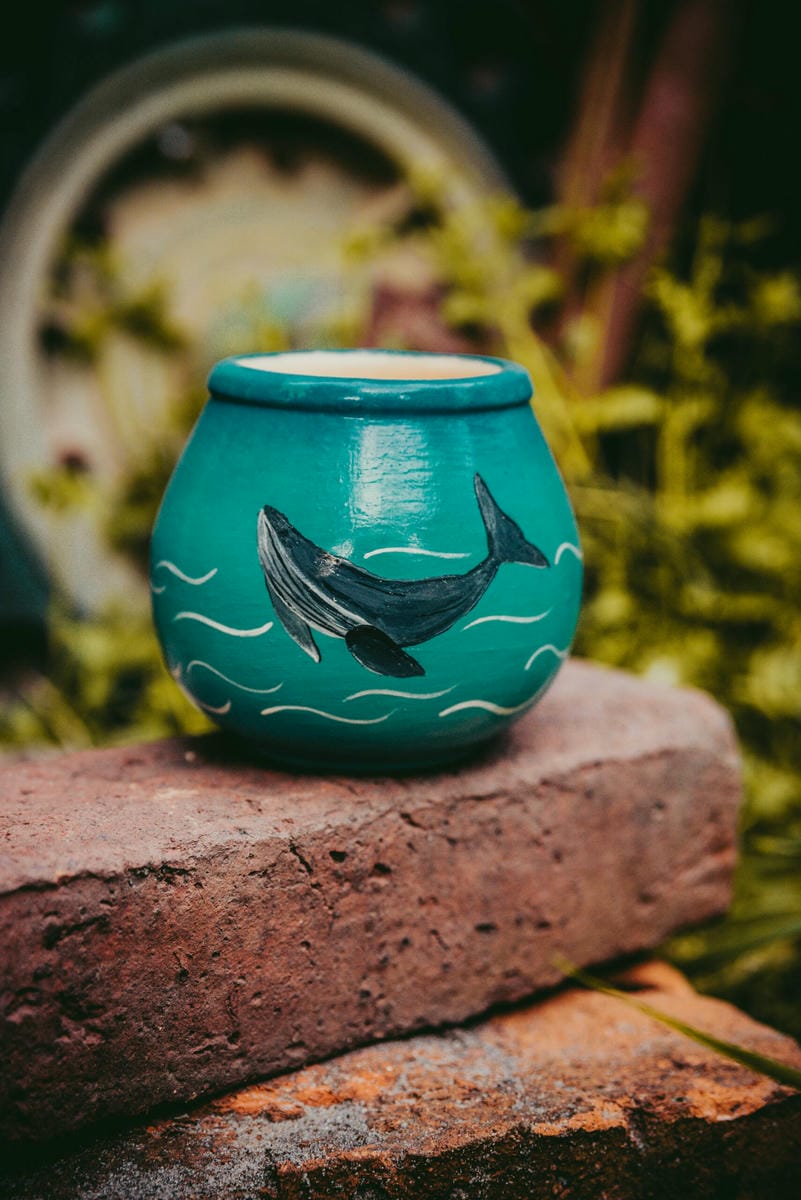 Mates -variedades