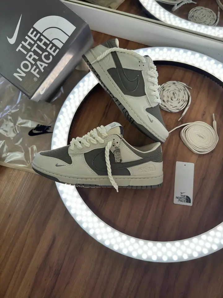 Dunk Low x The North Face
