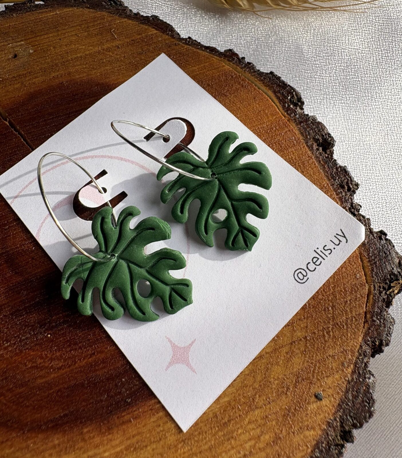 Monstera