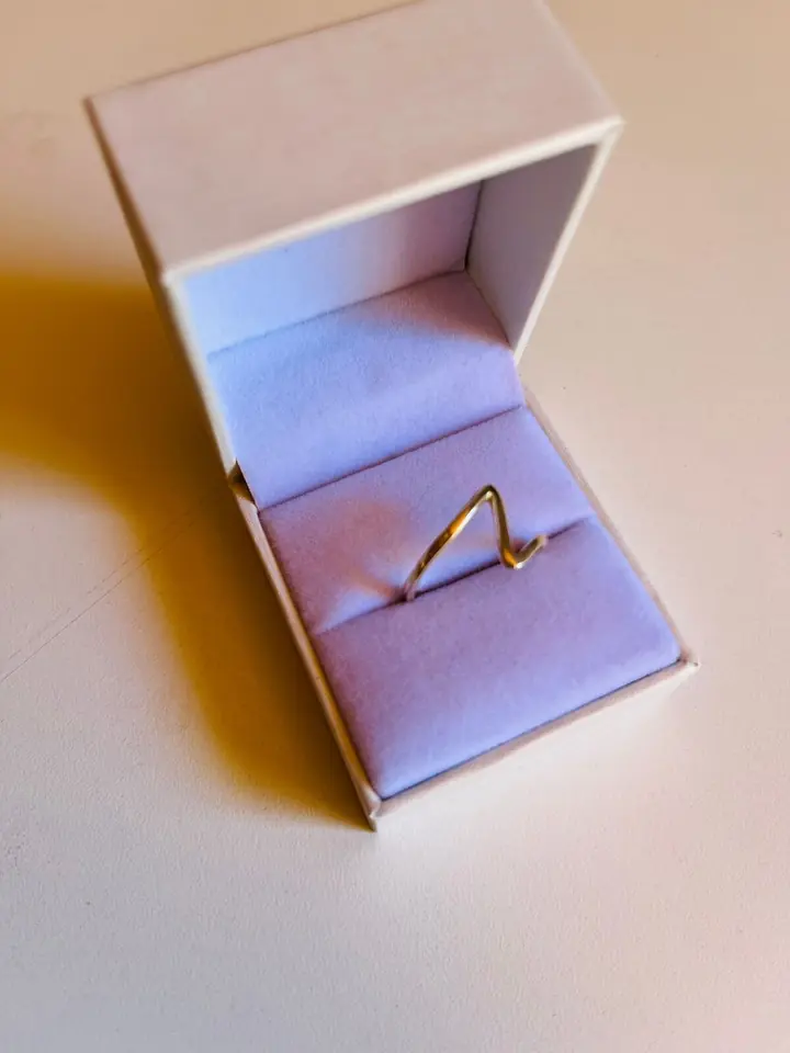 ANILLO Z