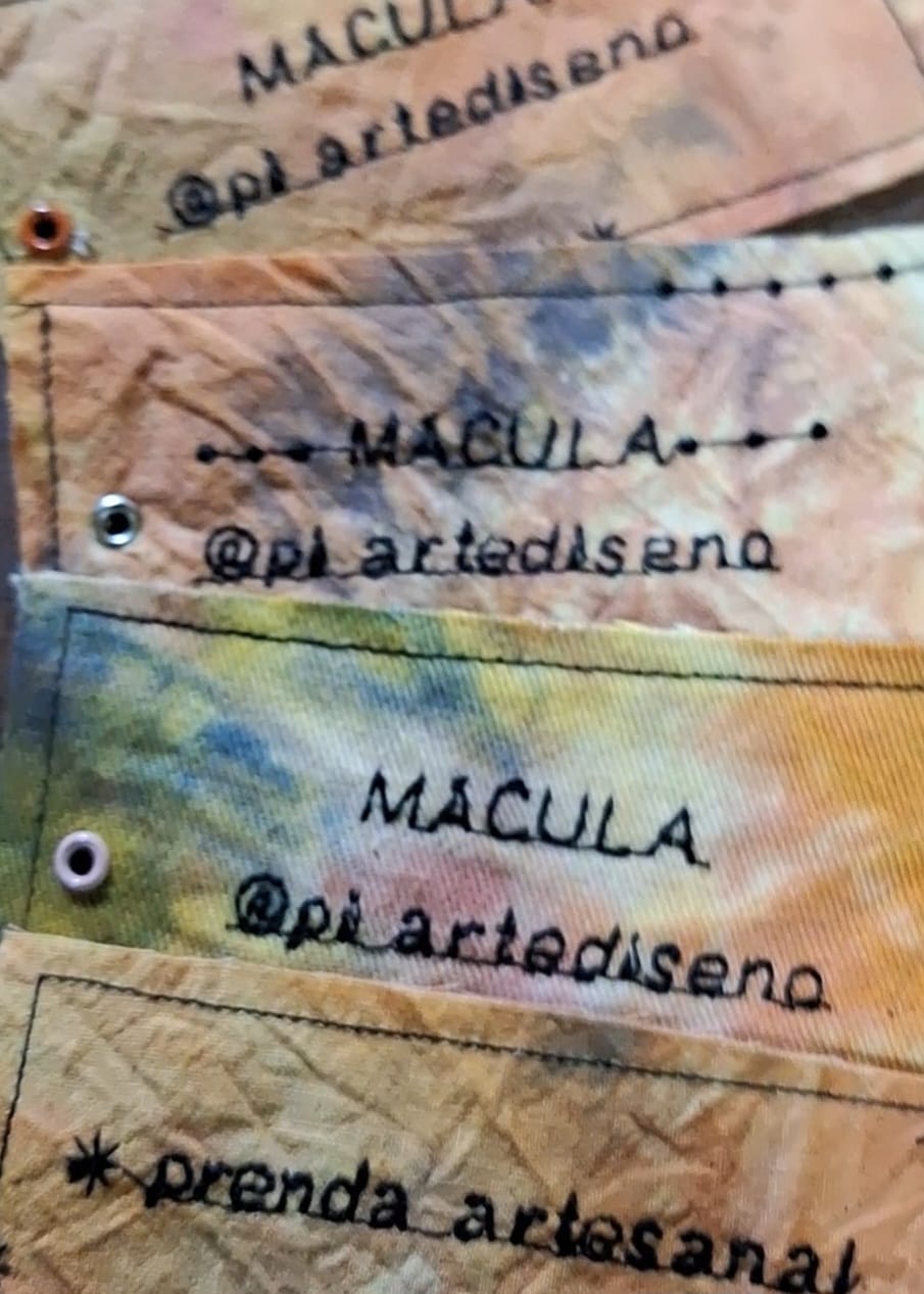 MACULA