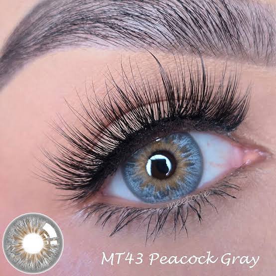 Peacock Gray - Meetone