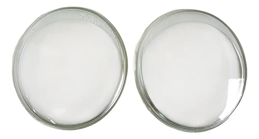 Par de Lentes de Vidrio para Faro Volkswagen Fusca "Ojo de Buey" con Gomas (1963 a 1972)