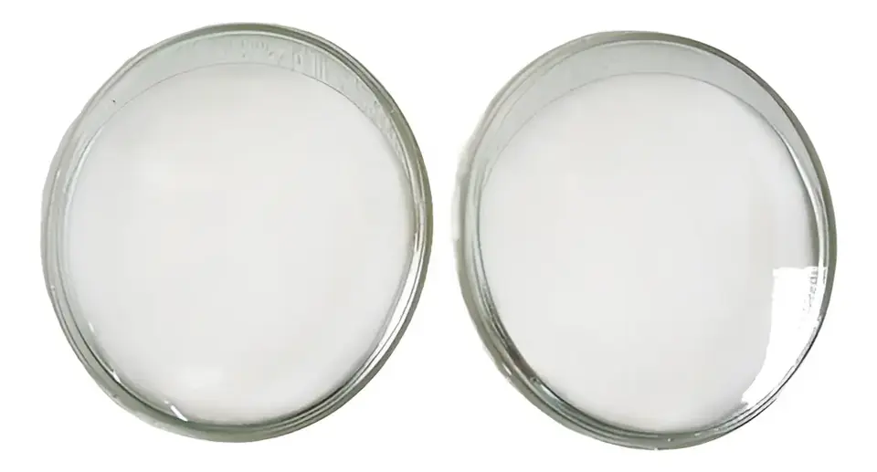 Par de Lentes de Vidrio para Faro Volkswagen Fusca "Ojo de Buey" con Gomas (1963 a 1972)