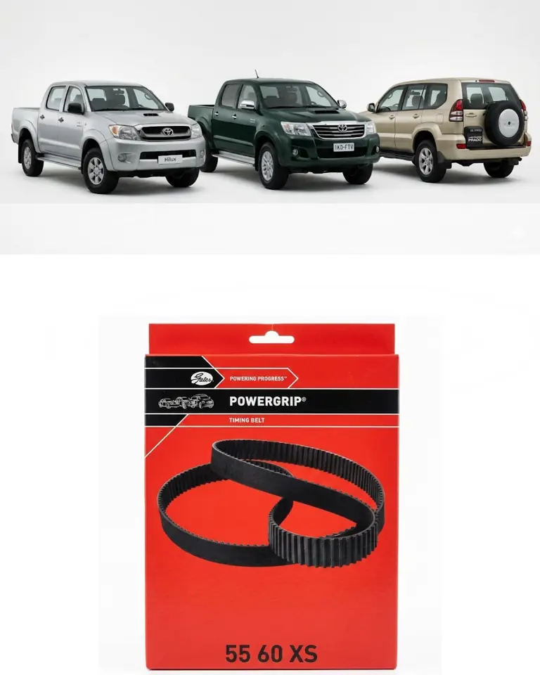 Correa de Distribución Gates PowerGrip® 5560XS (97X25)