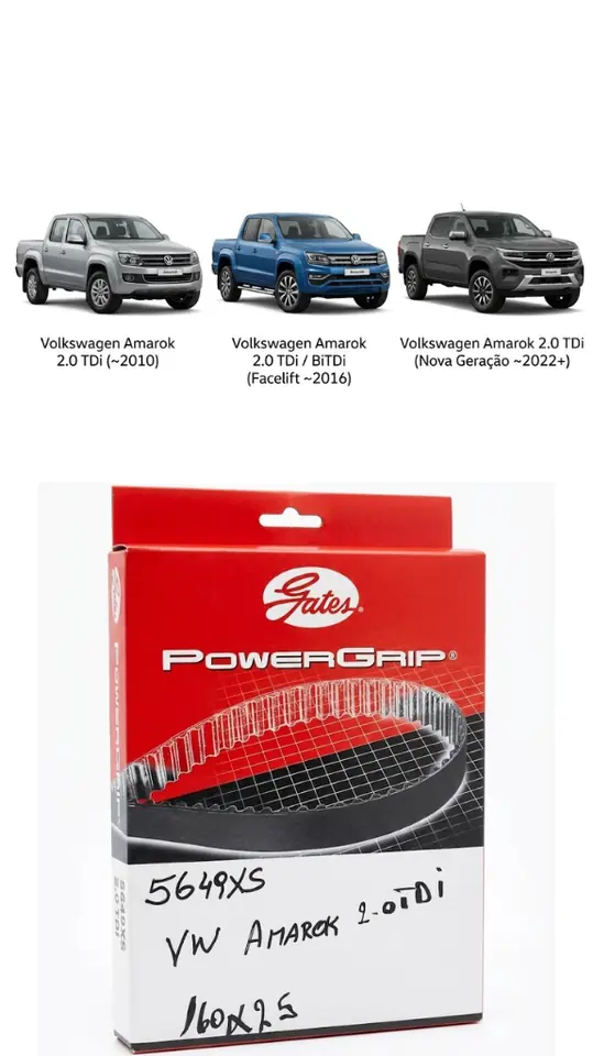 Correa de Distribución Gates 5649XS (PowerGrip®)