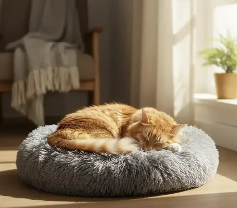 Cama puff plushy perro gato 40cms