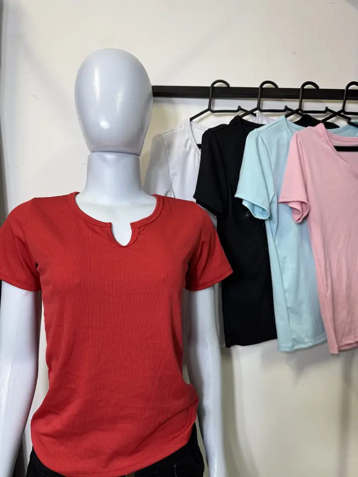 Blusa básica V
