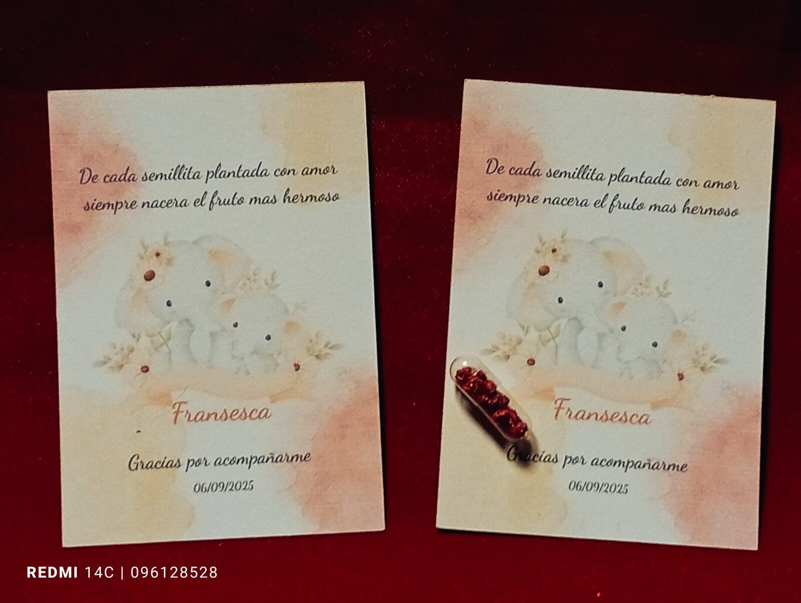 Tarjeta con cápsula plantable