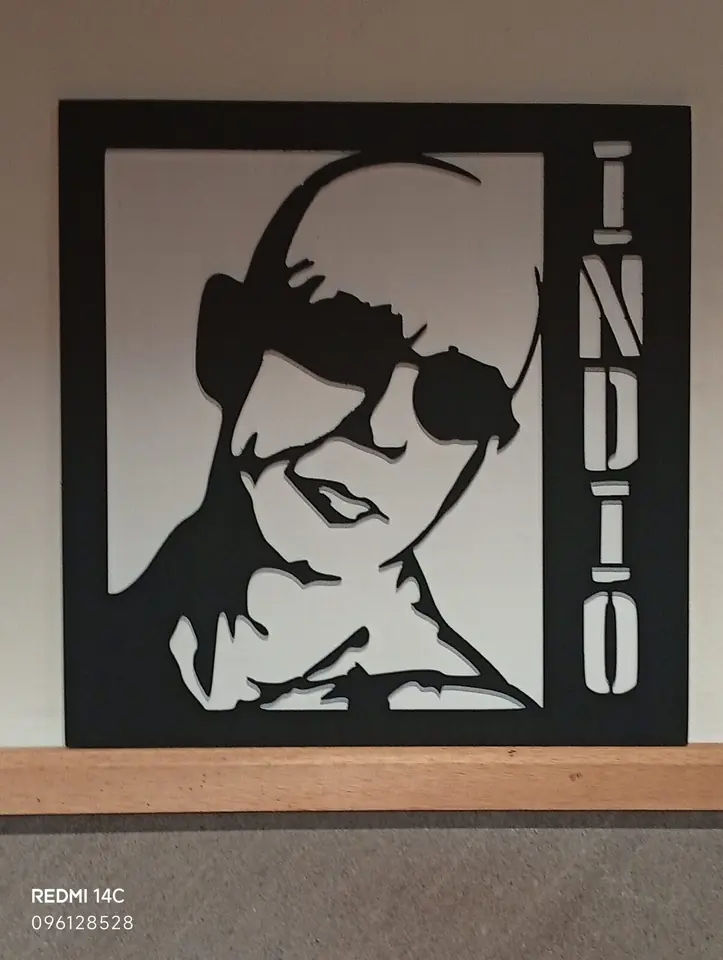 Cuadro Indio