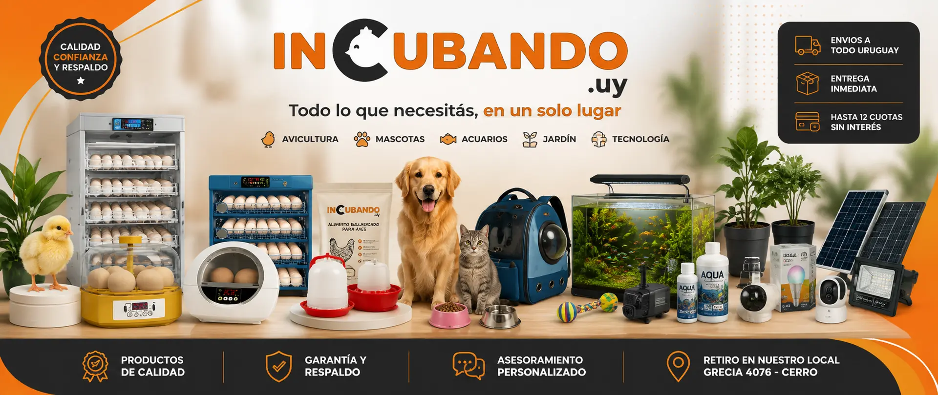 incubando