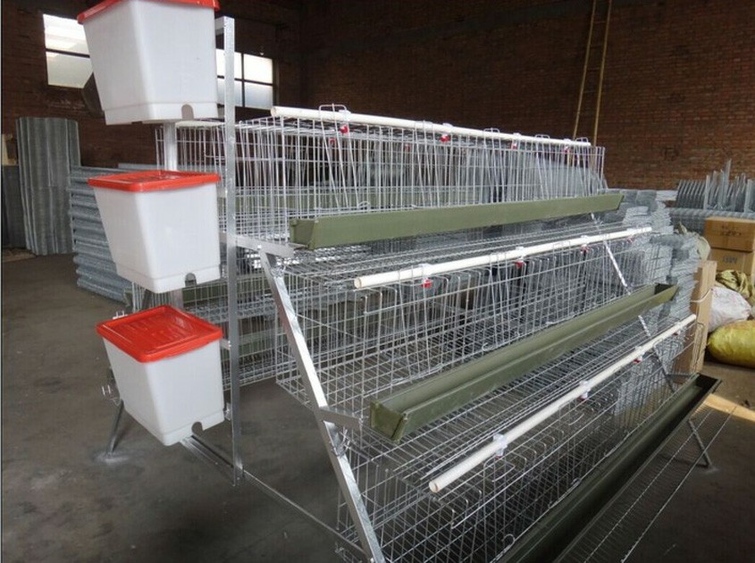 Jaulas para Gallinas y Pollos