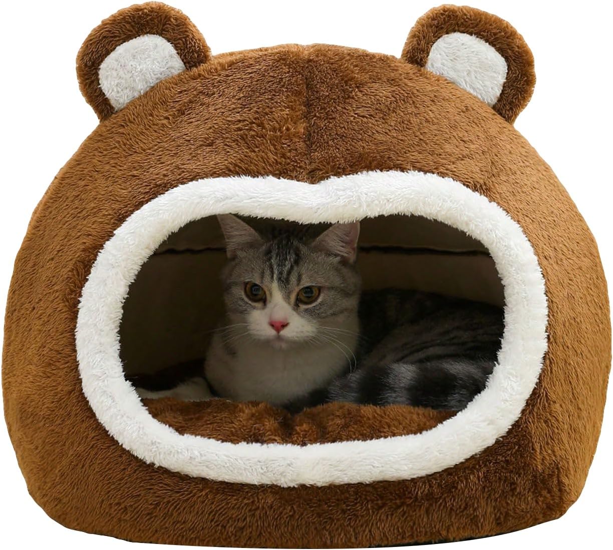 Cucha oso chica OS-01