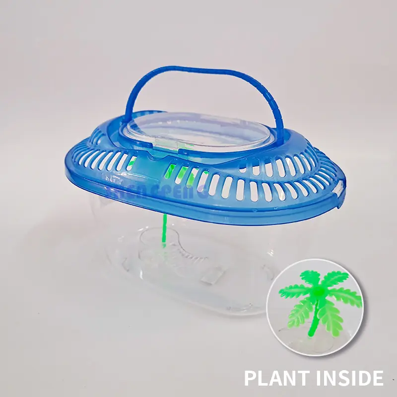 Tortuguero D2