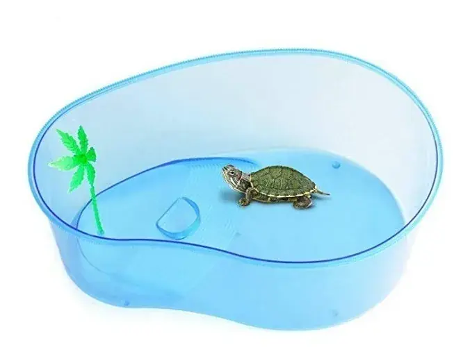Tortuguero Q6 G