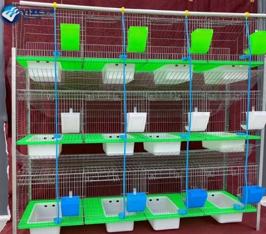 Módulo de conejos con capacidad de 12 ejemplares