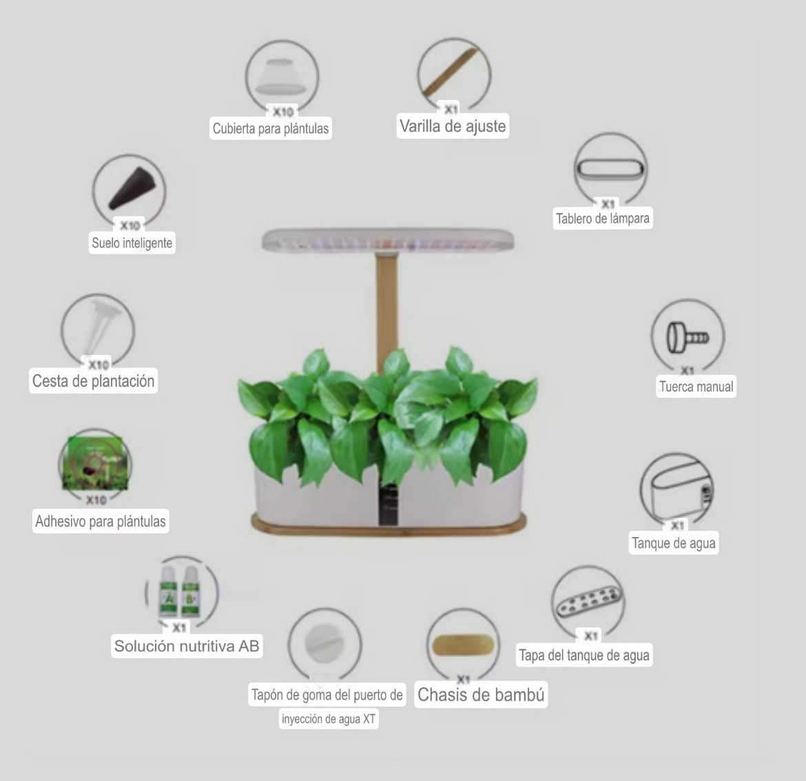 Cultivo hidropónico H-10