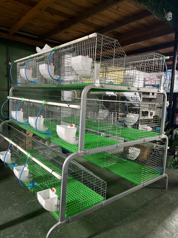 Módulo de conejos, con capacidad para 18 ejemplares. Completo