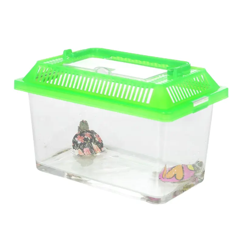 Tortuguero 270 B
