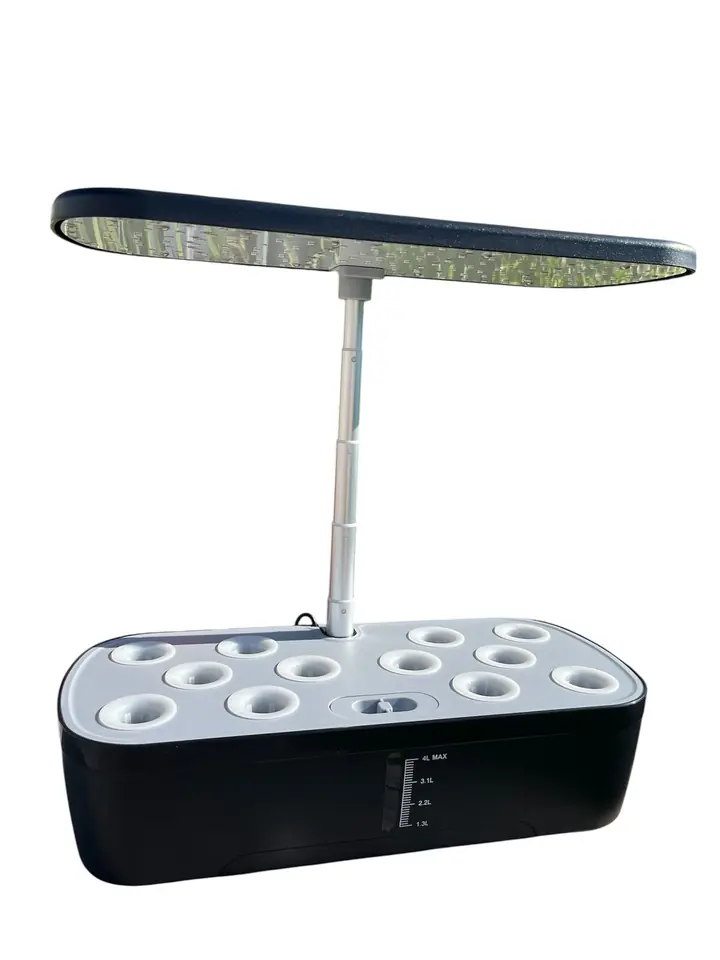 Cultivo hidropónico H-12