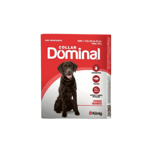 Collar Dominal para Grande