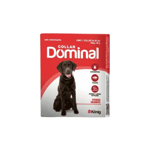 Collar Dominal para Grande