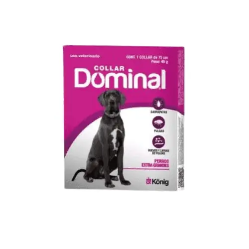 Collar Dominal para Ex Grande