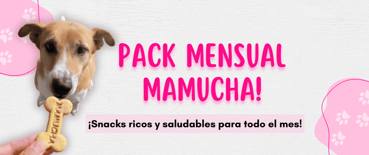Mamucha Snacks