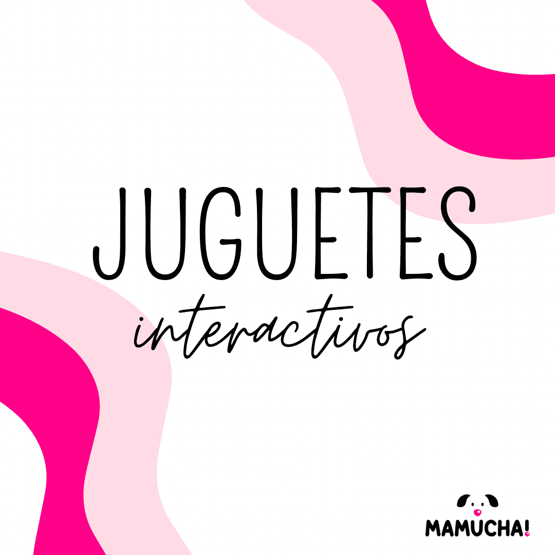 🐾Juguetes Interactivos
