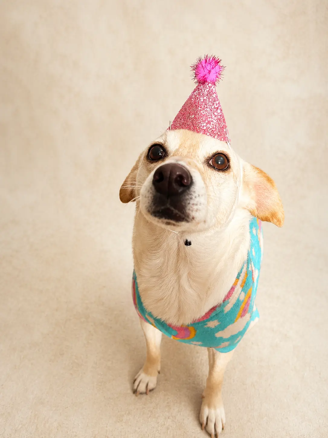 Gorrito mini