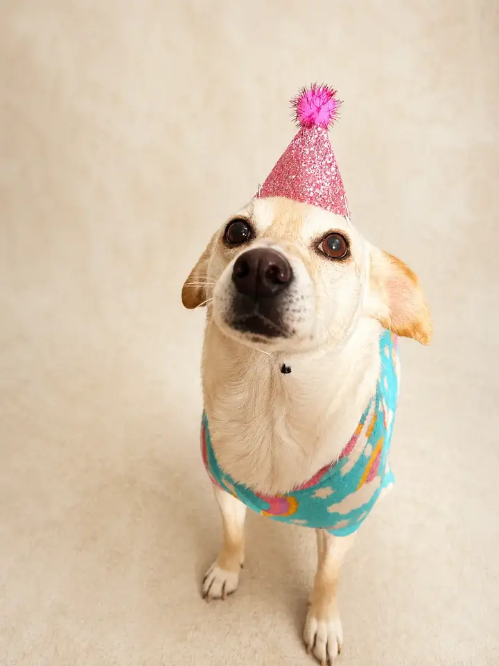 Gorrito mini