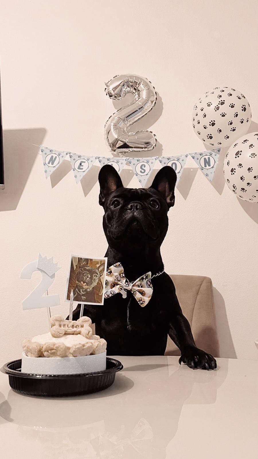 Kit Cumpleaños