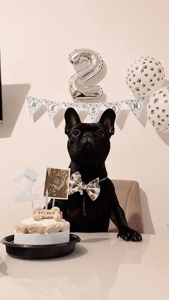 Kit Cumpleaños