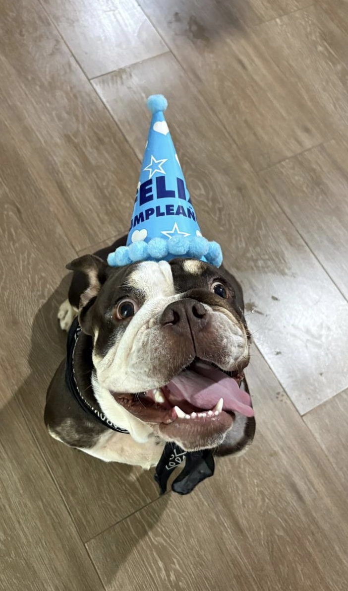 Gorrito