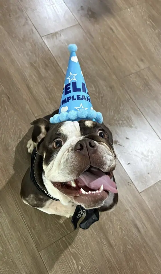 Gorrito