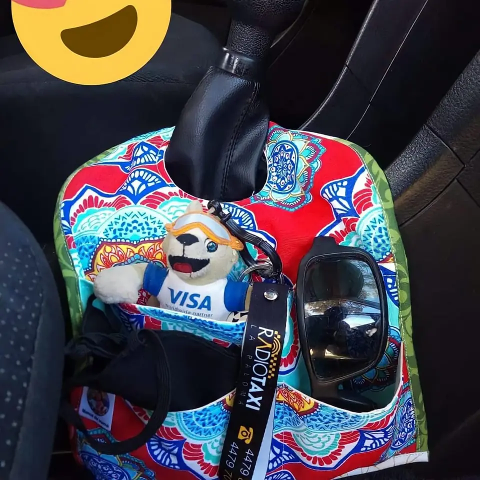 ORGANIZADOR PARA EL AUTO