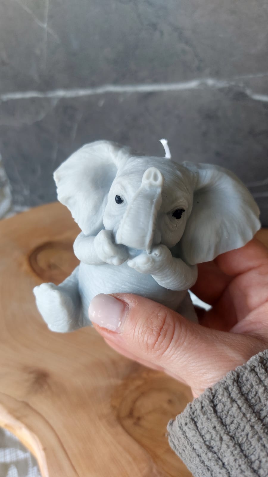 Vela ELEFANTE SABIO