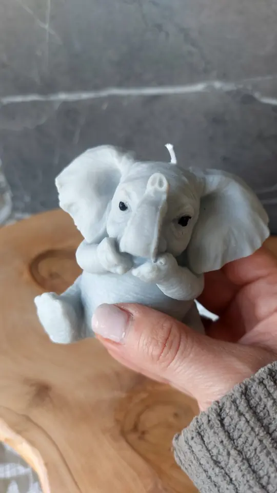 Vela ELEFANTE SABIO