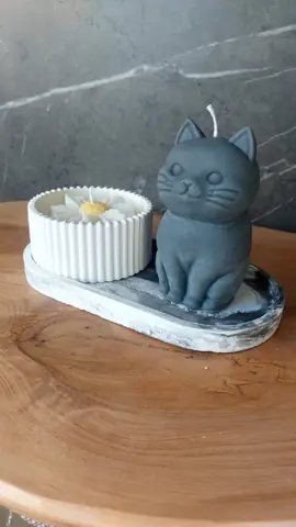 Box KIRI + GATITO