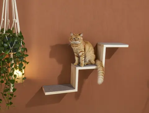 Escalera continua 25 cm 3 peldaños