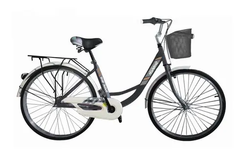 BICICLETA DE PASEO PARA DAMA RODADO 26 CANASTO Y PARRILLA