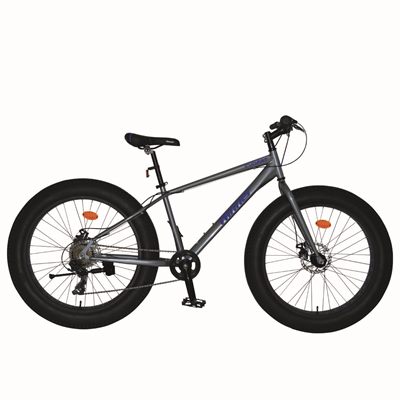 BICICLETA WINNER EVO FAT 7 VELOCIDADES GRIS