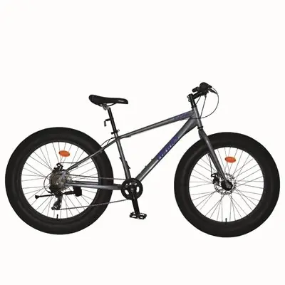 BICICLETA WINNER EVO FAT 7 VELOCIDADES GRIS