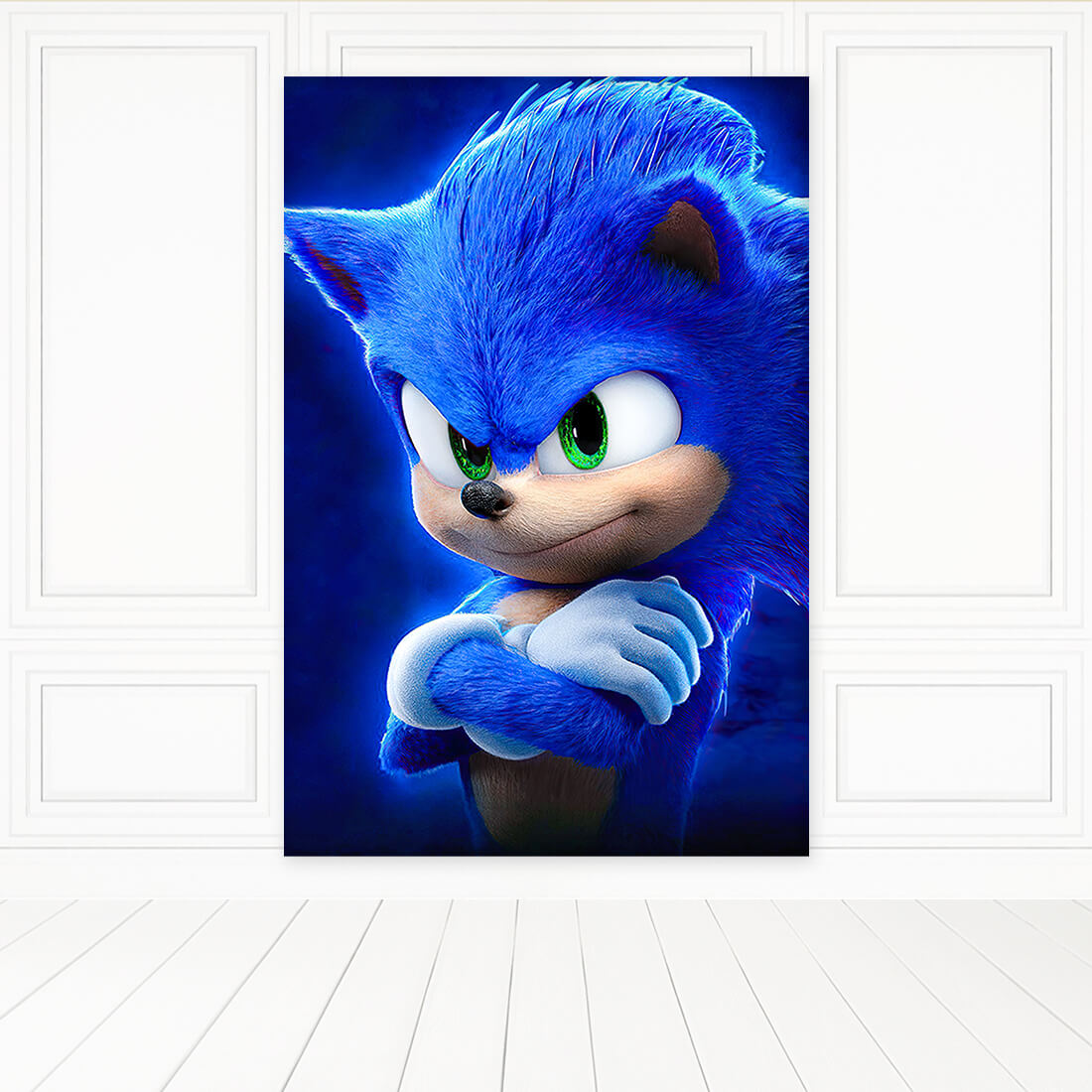 Panel Lateral - Sonic