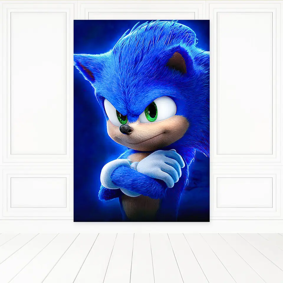 Panel Lateral - Sonic