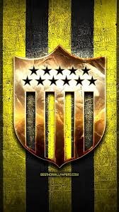 Panel Lateral - Peñarol