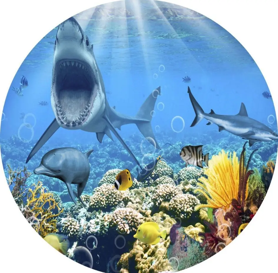 Panel Circular - Tiburon