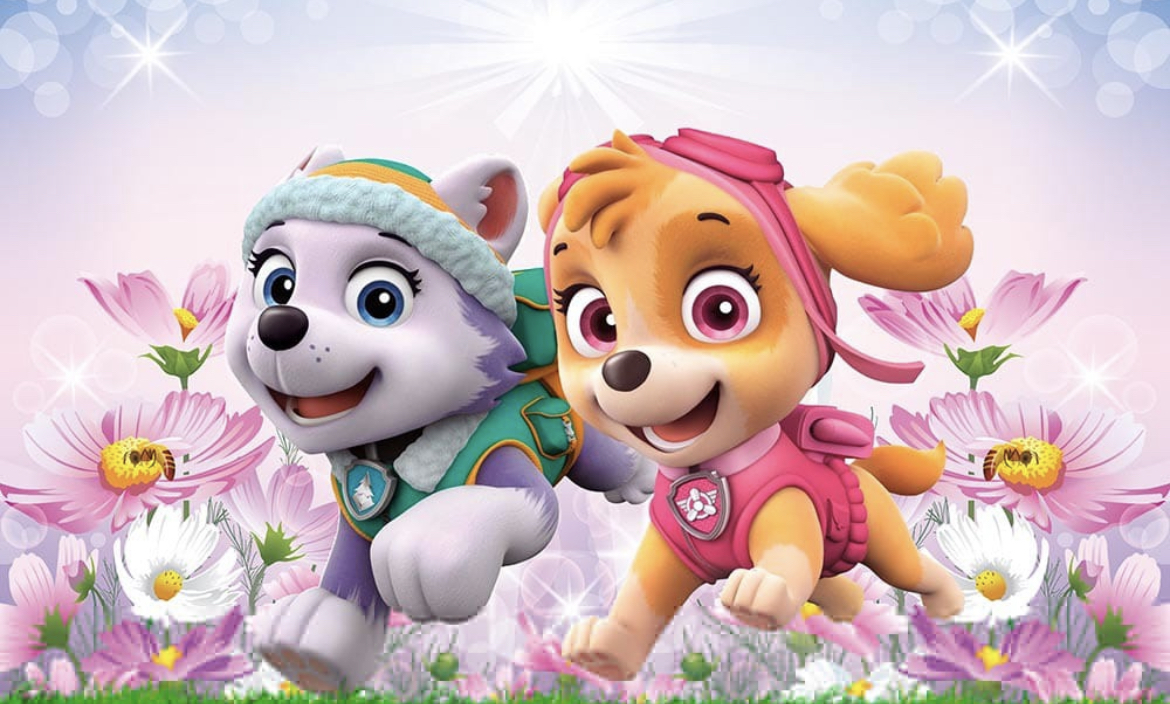 Panel Rectangular - Paw Patrol 3x2