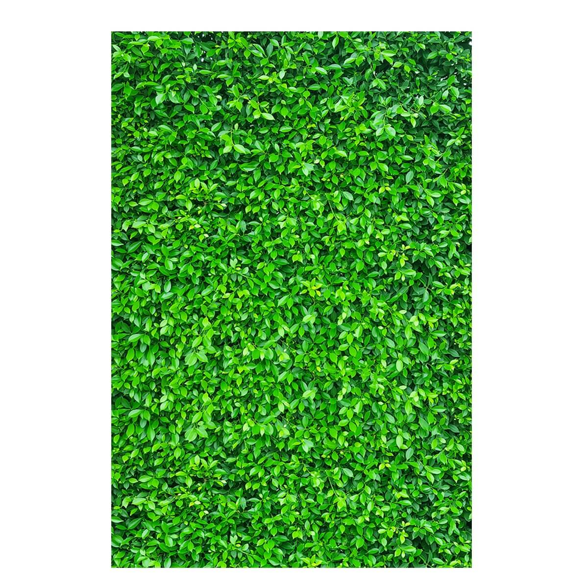 Panel Lateral - Muro Inglés